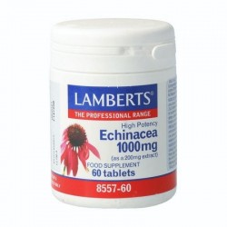 Echinacea 1.000 mg 60 cápsulas