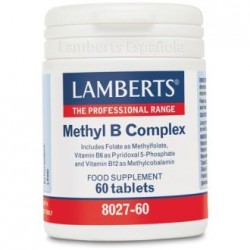Methyl B complex 60...